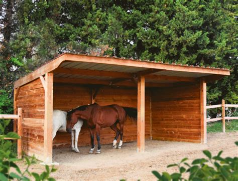 Un paddock avec abri pour les chevaux au centre équestre