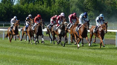 photo finish d'une course hippique