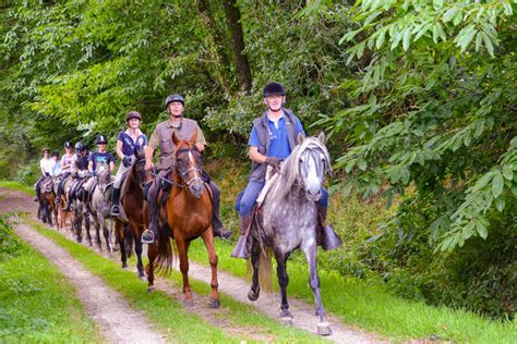 Groupe de cavaliers explorant un sentier forestier