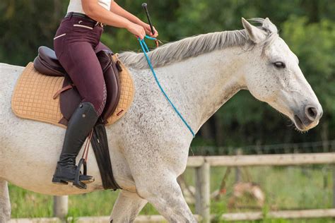 Cheval portant une couverture avec une cordelette rouge