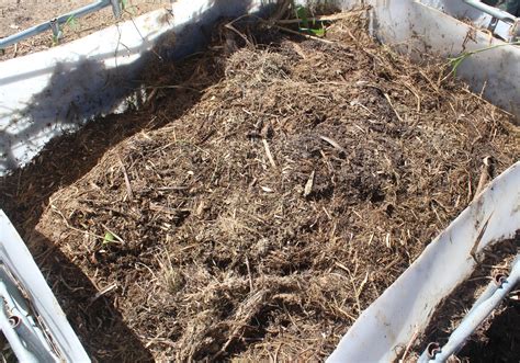 Compost de fumier en fermentation