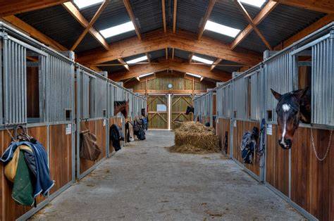 Image d'une écurie avec des chevaux au pré