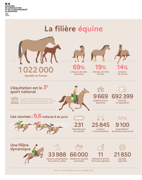 Graphique représentant l'évolution des chiffres clés de la filière équine française sur les dernières années.