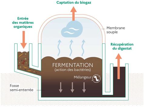 Infographie expliquant le processus de méthanisation des fumiers équins.