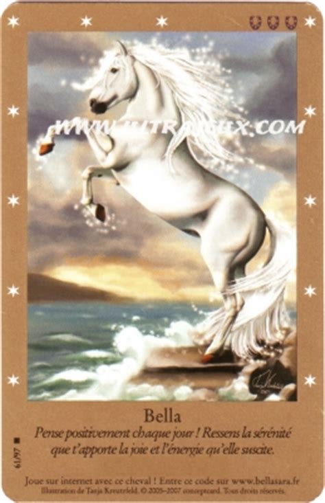 Illustration d'une collection de cartes Bella Sara