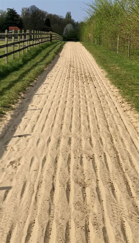Cheval au galop sur une piste de sable