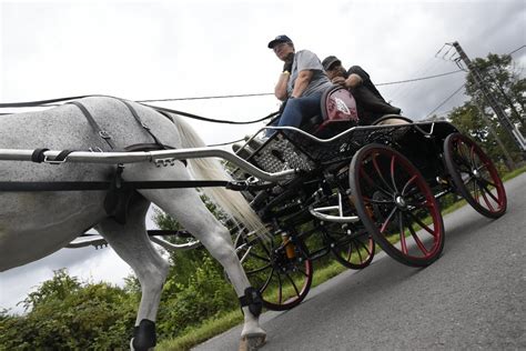 Différents types de calèches historiques