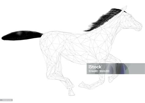 Cheval au galop, vue latérale