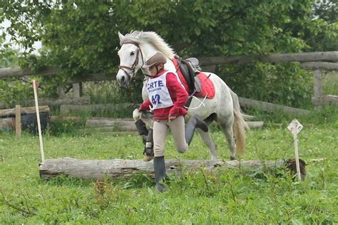 Photographie d'une compétition de TREC avec des cavaliers franchissant un obstacle