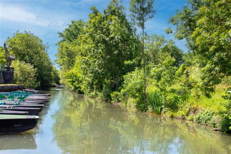 Paysage du Marais Poitevin avec des canaux et des arbres