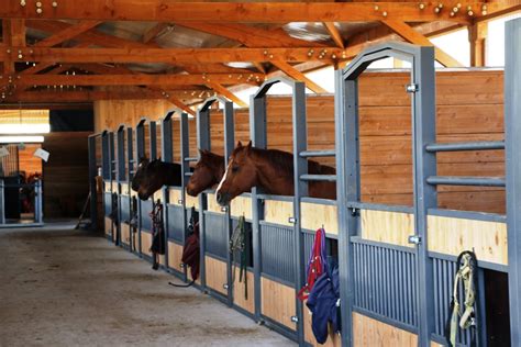 Vue d'un box de cheval avec une grille