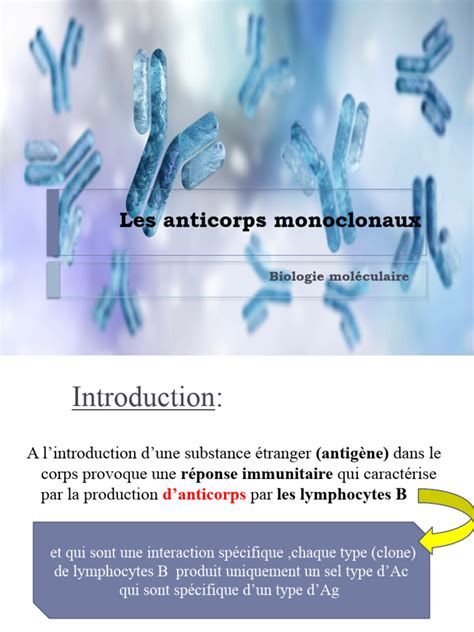 Étalon d'anticorps monoclonal pour LC/MS