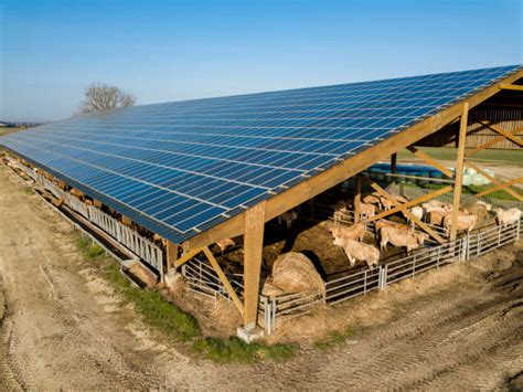 Image d'une ferme moderne avec des panneaux solaires et des animaux en pâturage