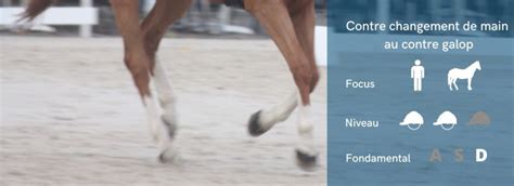 Illustration des aides du cavalier au petit galop