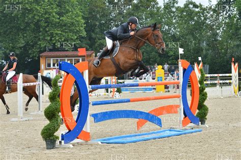 Exemple d'obstacle de saut d'obstacles aux couleurs de la France