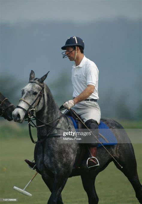Cheval jouant au polo