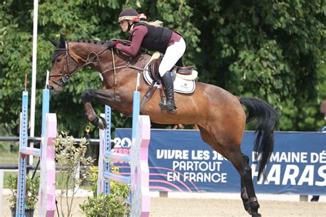 Cheval participant à une compétition de CSO