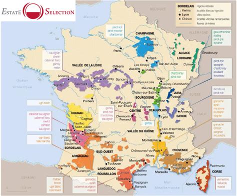 carte des terroirs de café