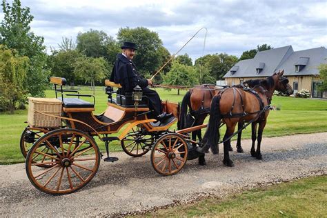 Jeune garçon menant une calèche dans un cimetière