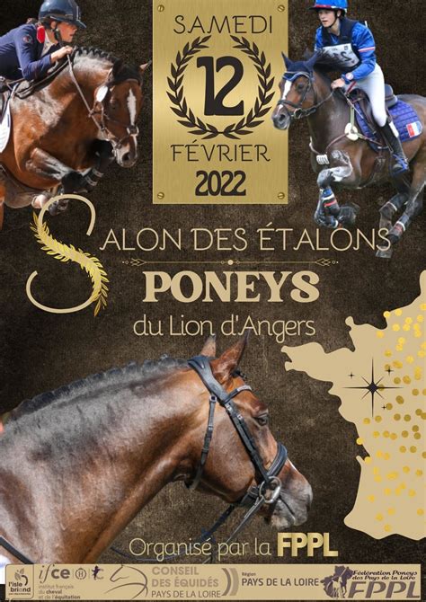 Présentation d'étalons lors d'un salon équin
