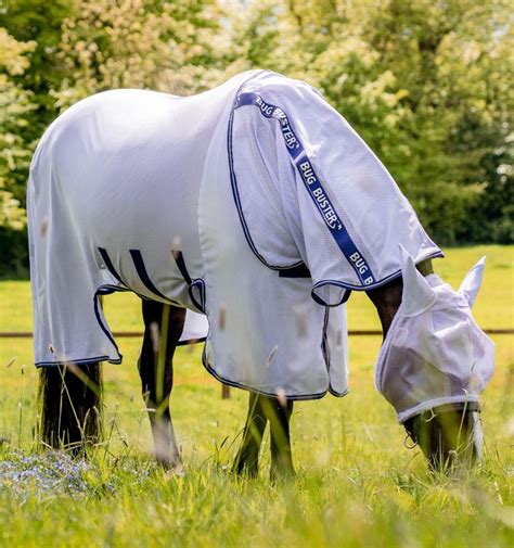 Cheval portant une chemise anti-mouches dans un pré