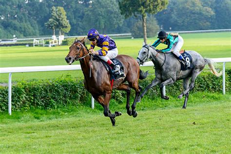 Jockey en pleine course
