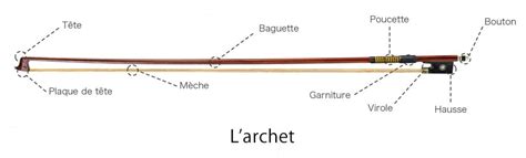 Illustration du profil concave d'un archet Tourte par rapport à un archet ancien